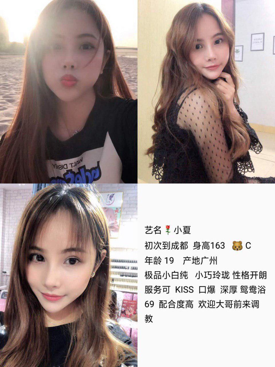最后的花园启示无删减